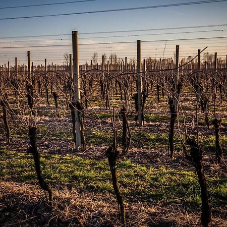Agriturismo Il Casone Zoppola Buitenkant foto